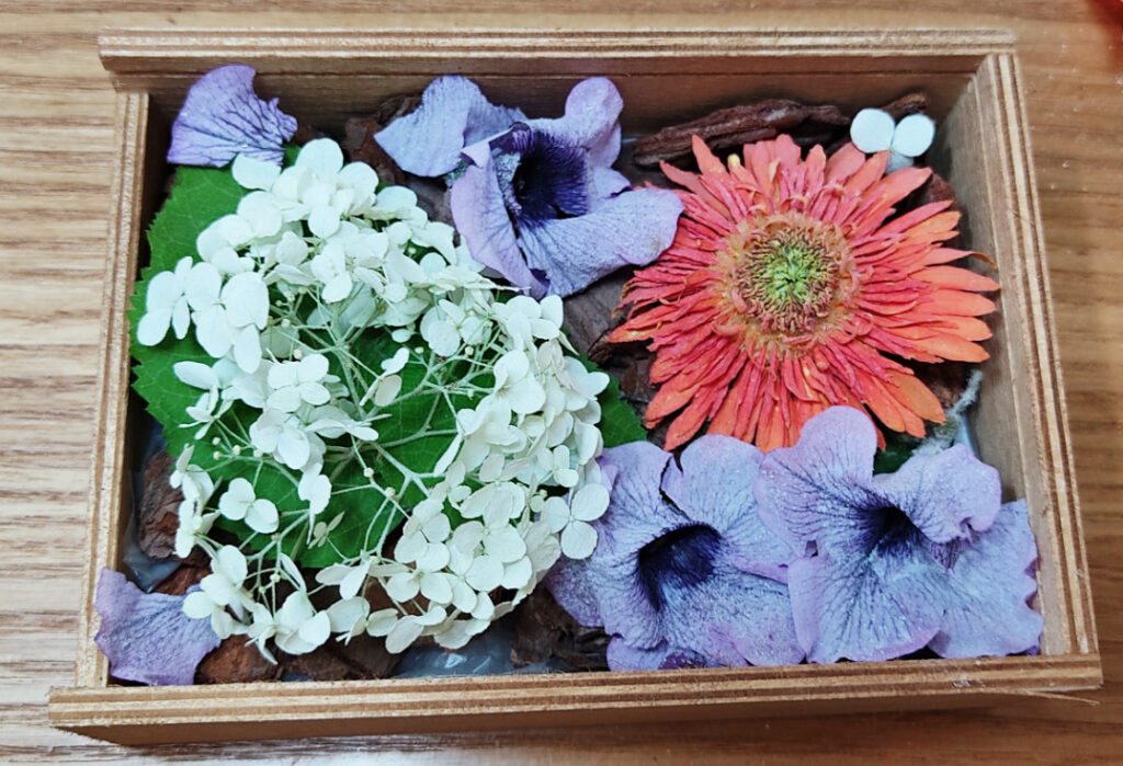 シリカゲルを使ったドライフラワーの作り方 大切な花をきれいに長持ちさせる保存方法 キャロみのお家